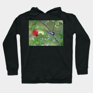 Chickadee in a Pomogranete Tree Hoodie